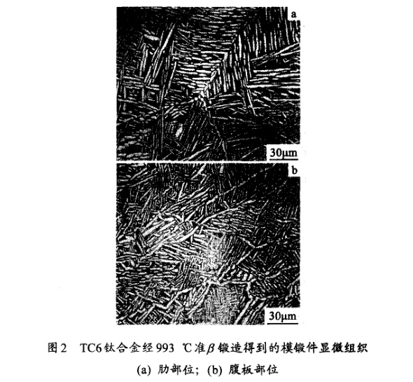 TC6鈦合金經(jīng)993℃準(zhǔn)β鍛造得到的模鍛件顯微組織(a) 肋部位；(b) 腹板部位