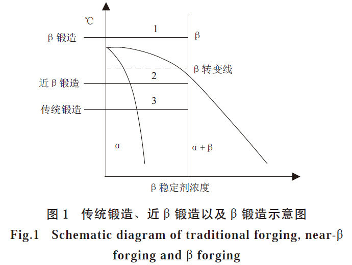 m2.jpg
