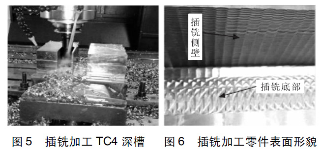 t5t6.jpg