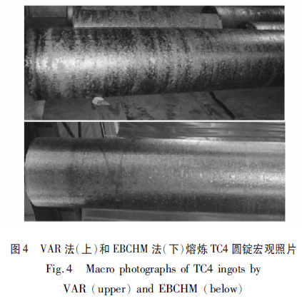 t4.jpg