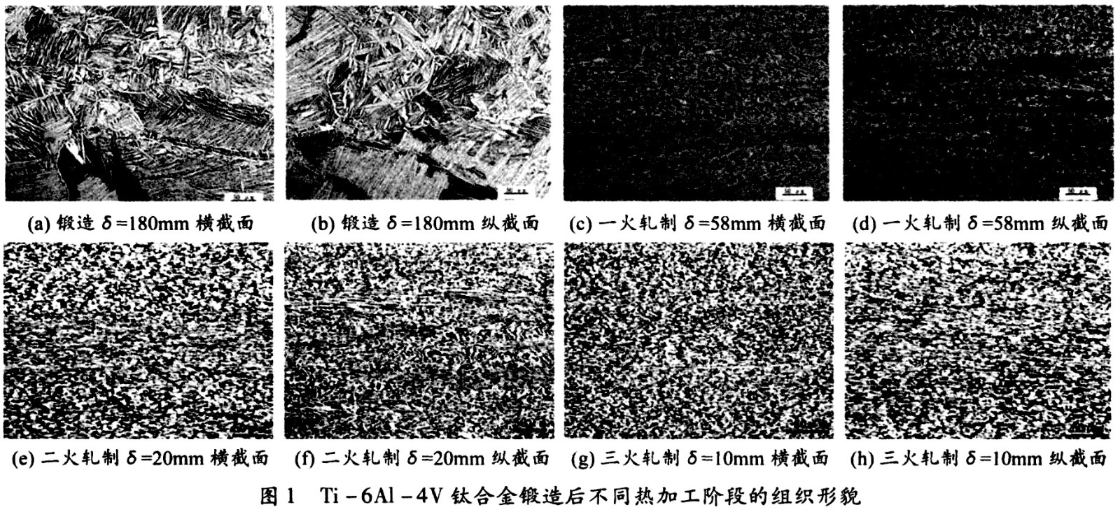 未標題-3.jpg