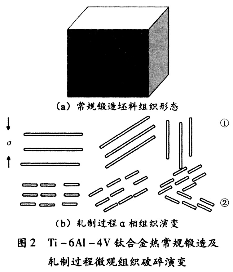 未標題-5.jpg
