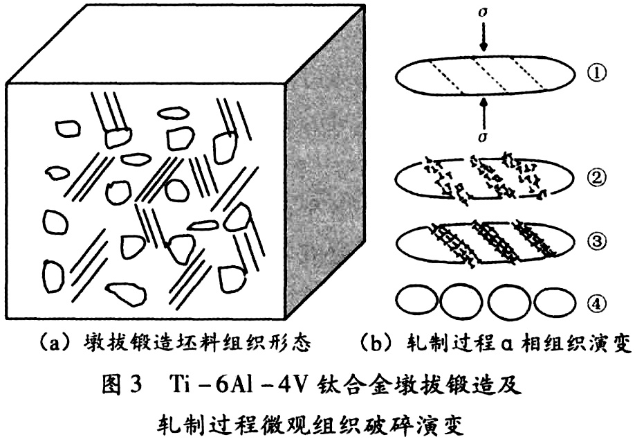 未標題-6.jpg