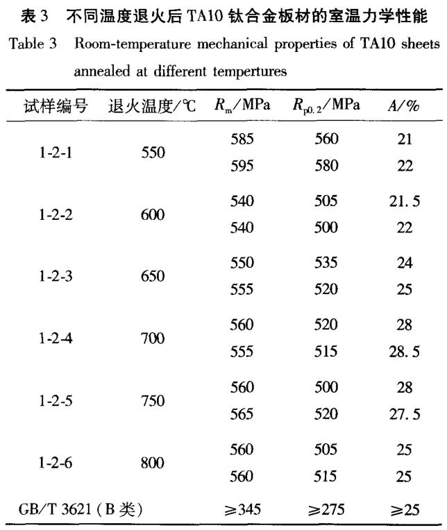 b3.jpg