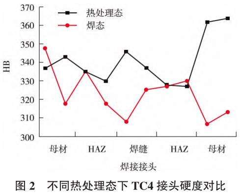 t2.jpg